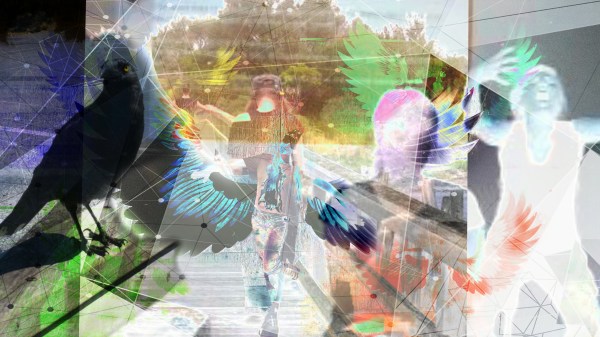 Flight of the Warrior