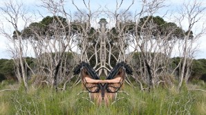 Silent Witness Silent Witness